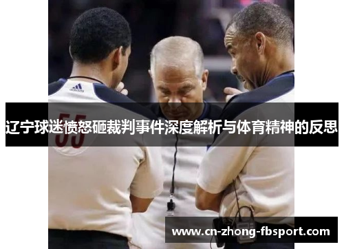 辽宁球迷愤怒砸裁判事件深度解析与体育精神的反思