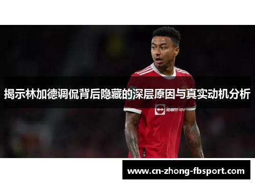 揭示林加德调侃背后隐藏的深层原因与真实动机分析