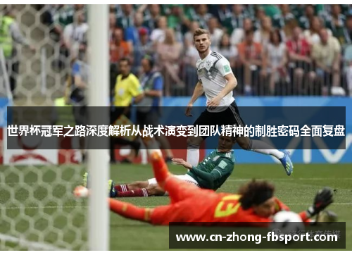 世界杯冠军之路深度解析从战术演变到团队精神的制胜密码全面复盘
